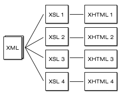 The XML Process